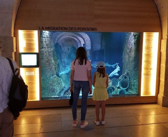 Aquarium de la Citadelle