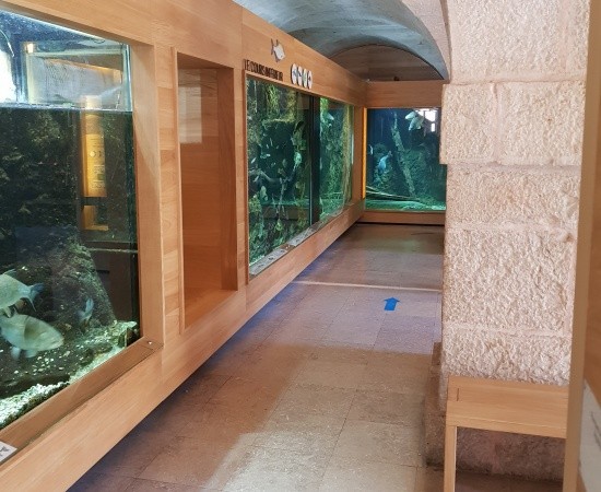 Aquarium de la Citadelle