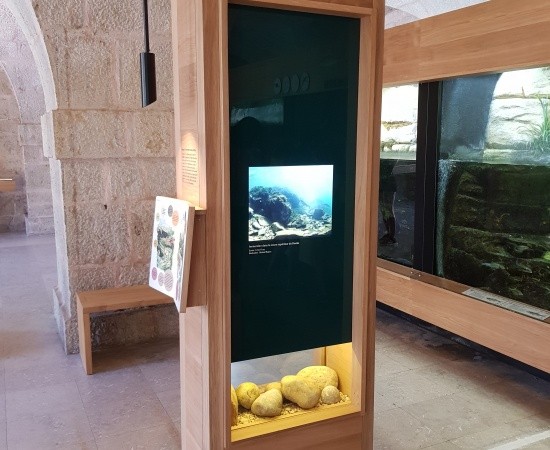 Aquarium de la Citadelle