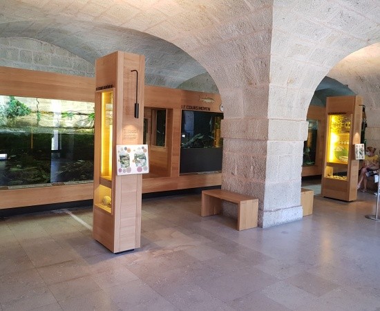 Aquarium de la Citadelle